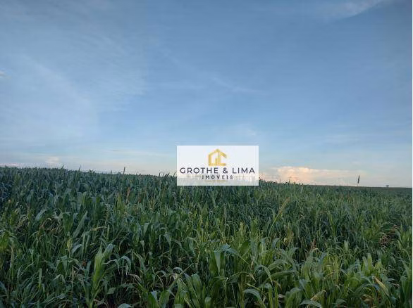 Farm of 2.990 acres in Araguaína, TO, Brazil