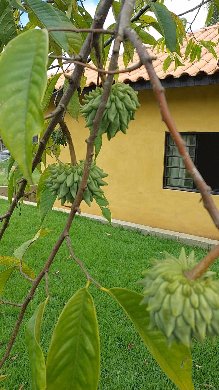 Sítio de 11 ha em Tiradentes, MG