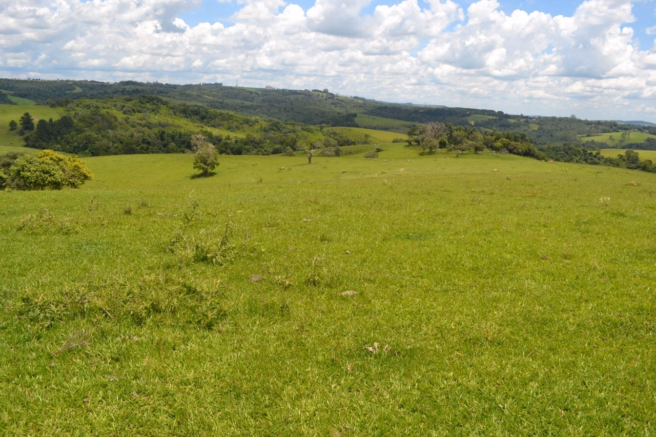 Fazenda de 382 ha em Itapetininga, SP