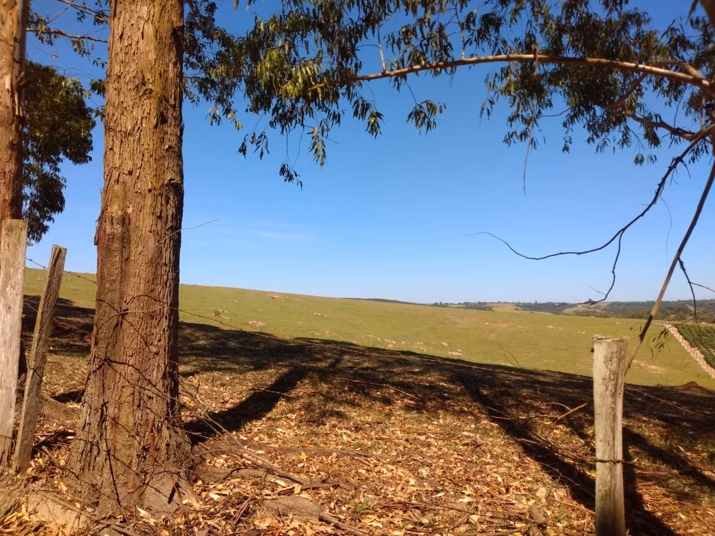 Fazenda de 382 ha em Itapetininga, SP