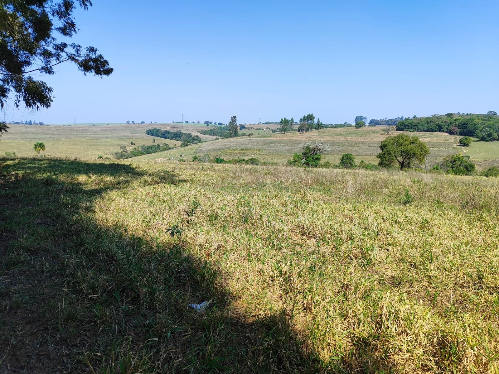 Sítio de 30 ha em Itapetininga, SP