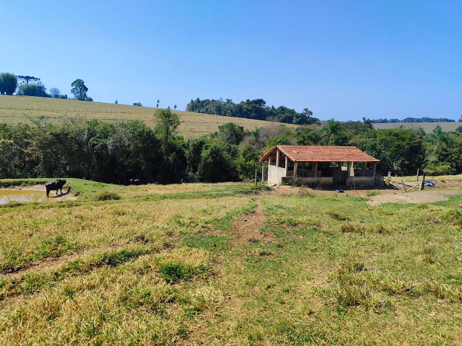 Sítio de 30 ha em Itapetininga, SP