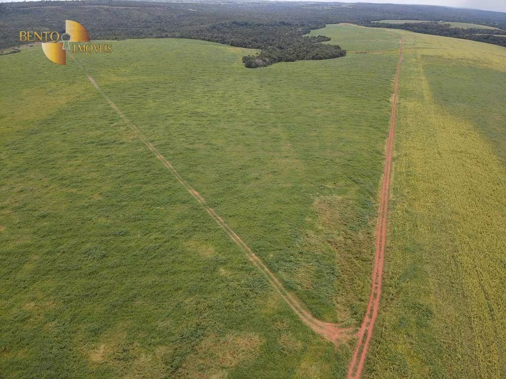 Fazenda de 1,822 ha em Primavera do Leste, MT