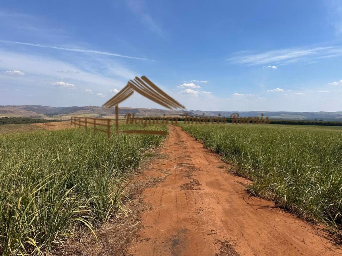 Fazenda à venda de 1.137 ha em Avaré, SP
