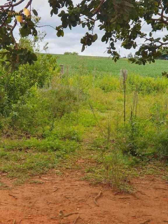 Fazenda de 923 ha em Alto Garças, MT