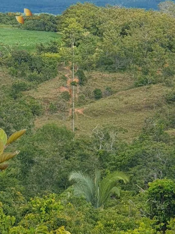 Fazenda de 923 ha em Alto Garças, MT