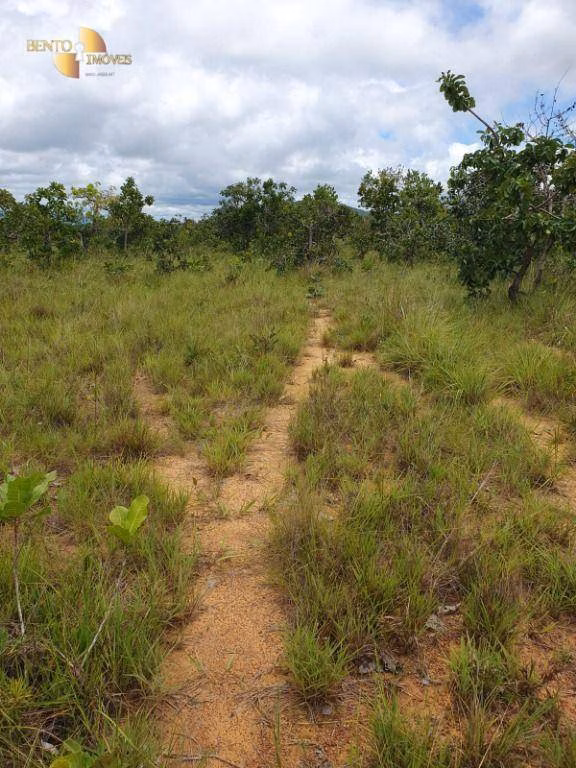 Fazenda de 923 ha em Alto Garças, MT