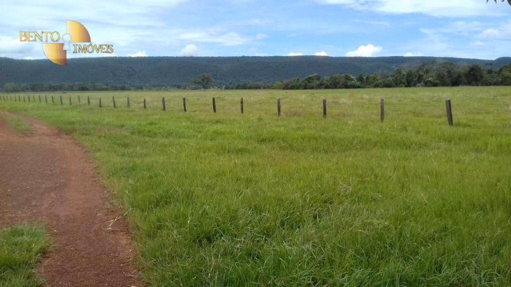 Fazenda de 1.008 ha em Alto Paraguai, MT