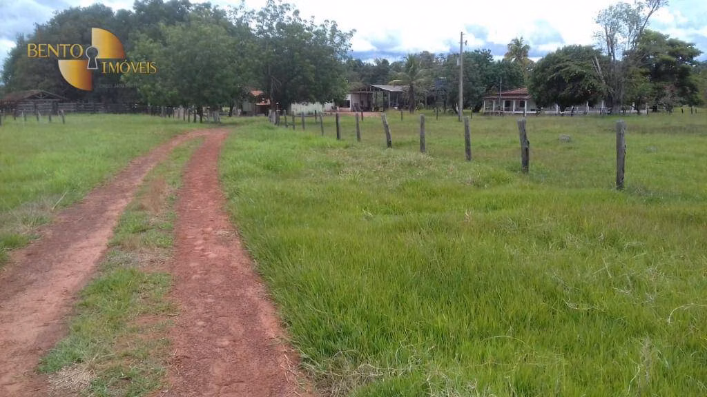 Fazenda de 1.008 ha em Alto Paraguai, MT