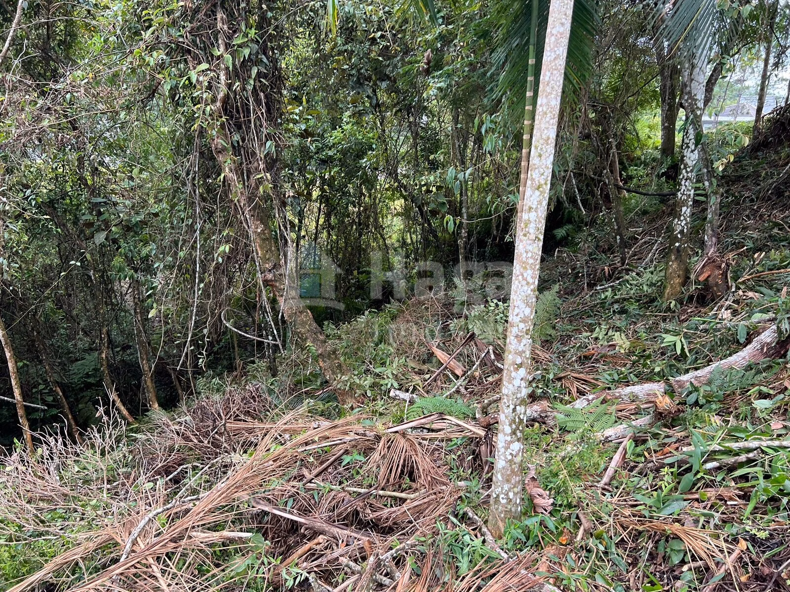 Terreno de 456 m² em Brusque, SC