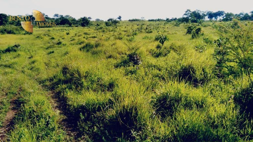 Fazenda de 2.000 ha em Cuiabá, MT