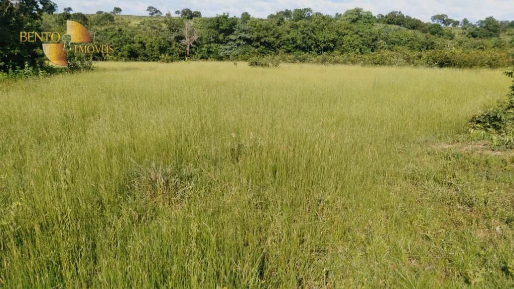 Fazenda de 2.000 ha em Cuiabá, MT