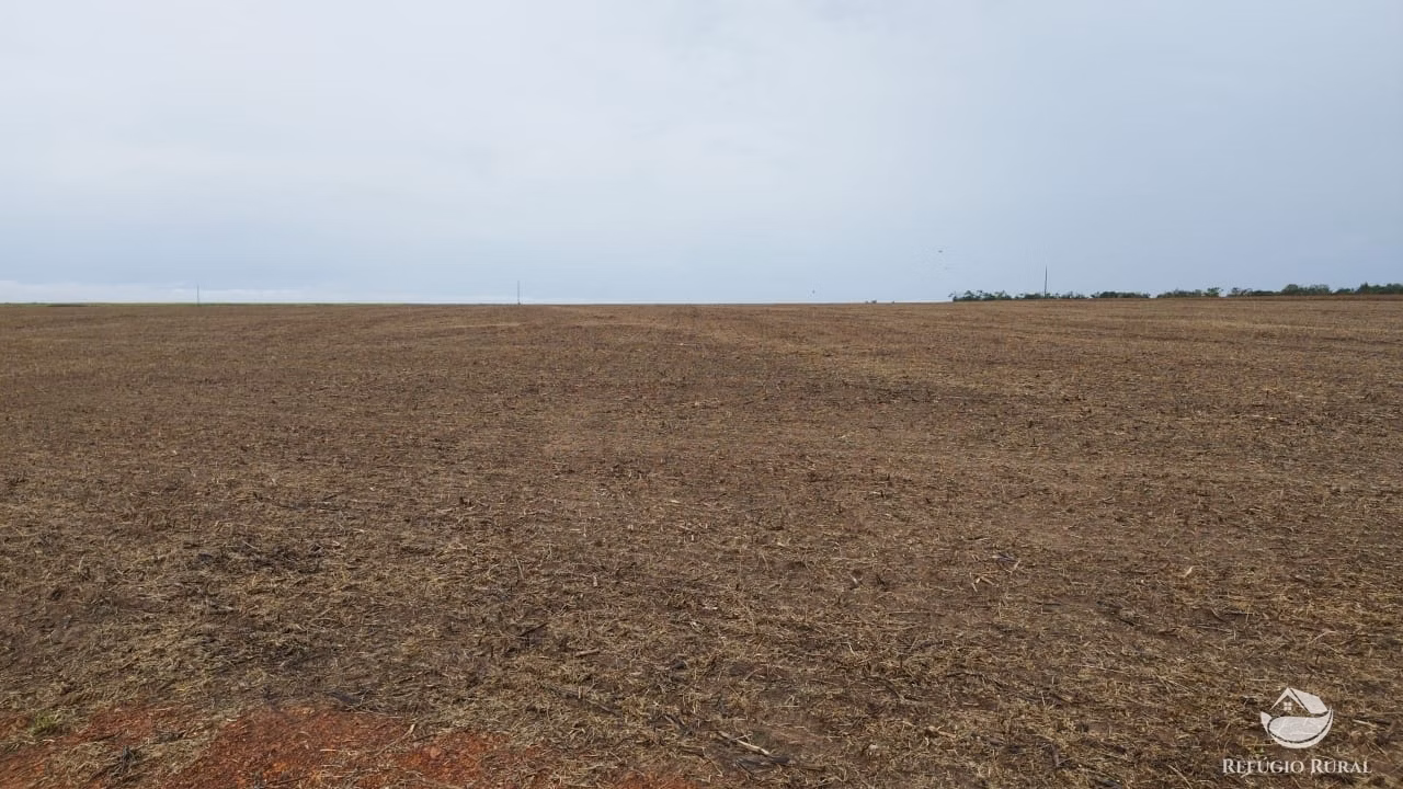 Fazenda de 3.012 ha em Brejinho de Nazaré, TO