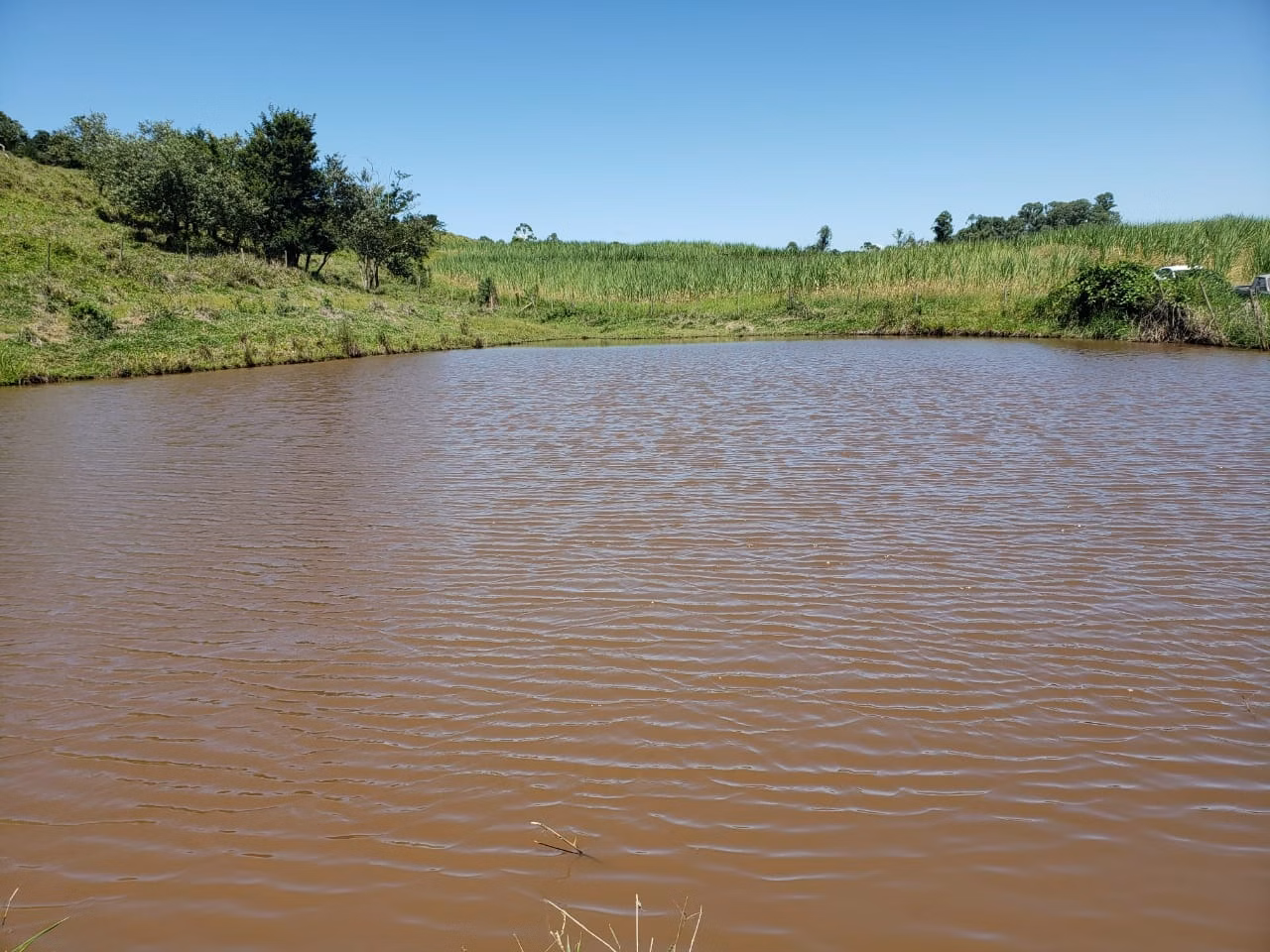 Small farm of 138 acres in Tatuí, SP, Brazil