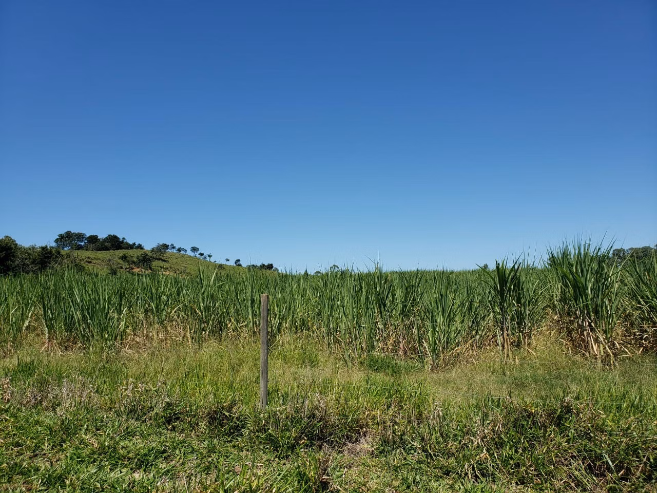 Small farm of 138 acres in Tatuí, SP, Brazil