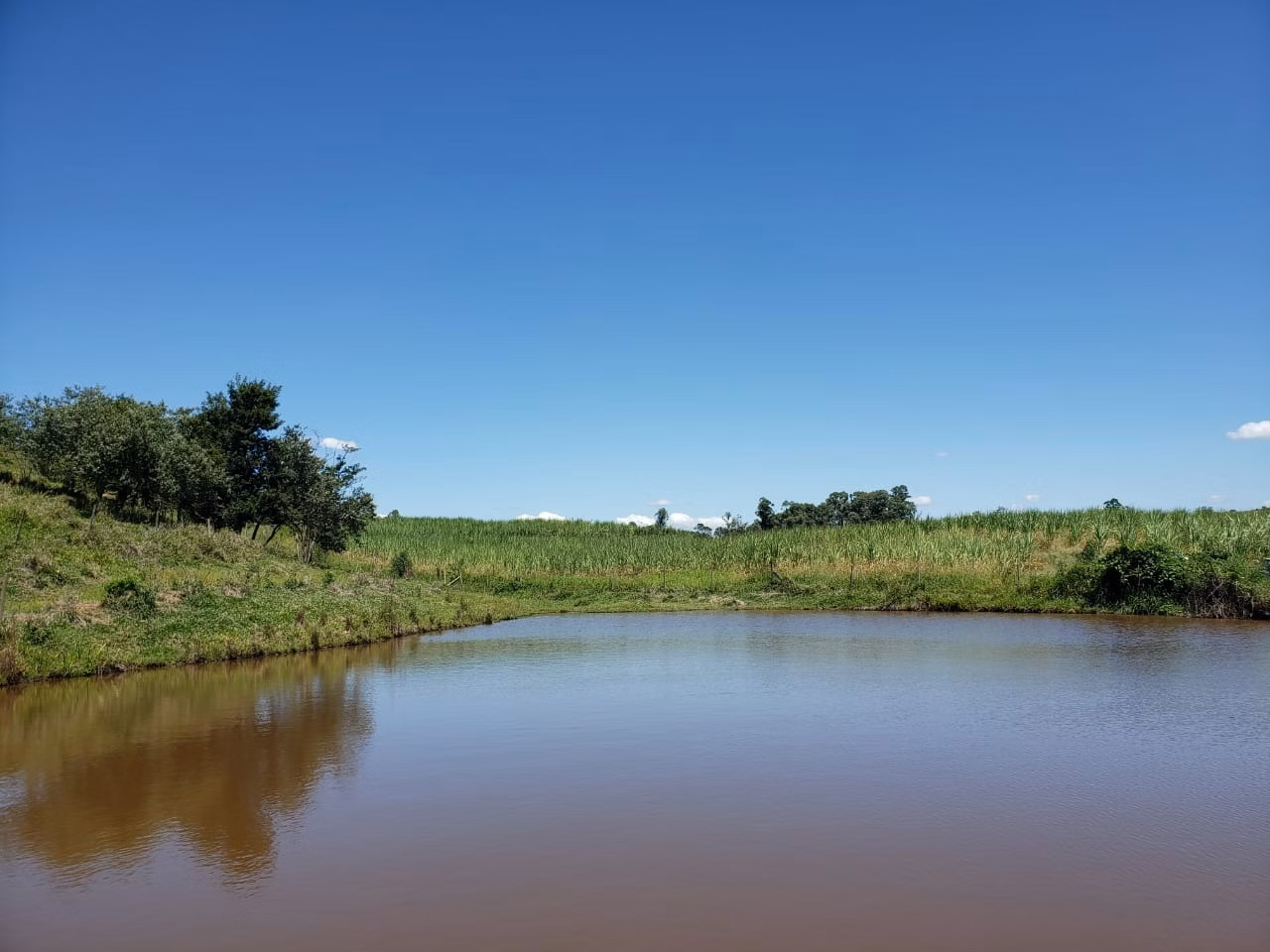 Small farm of 138 acres in Tatuí, SP, Brazil