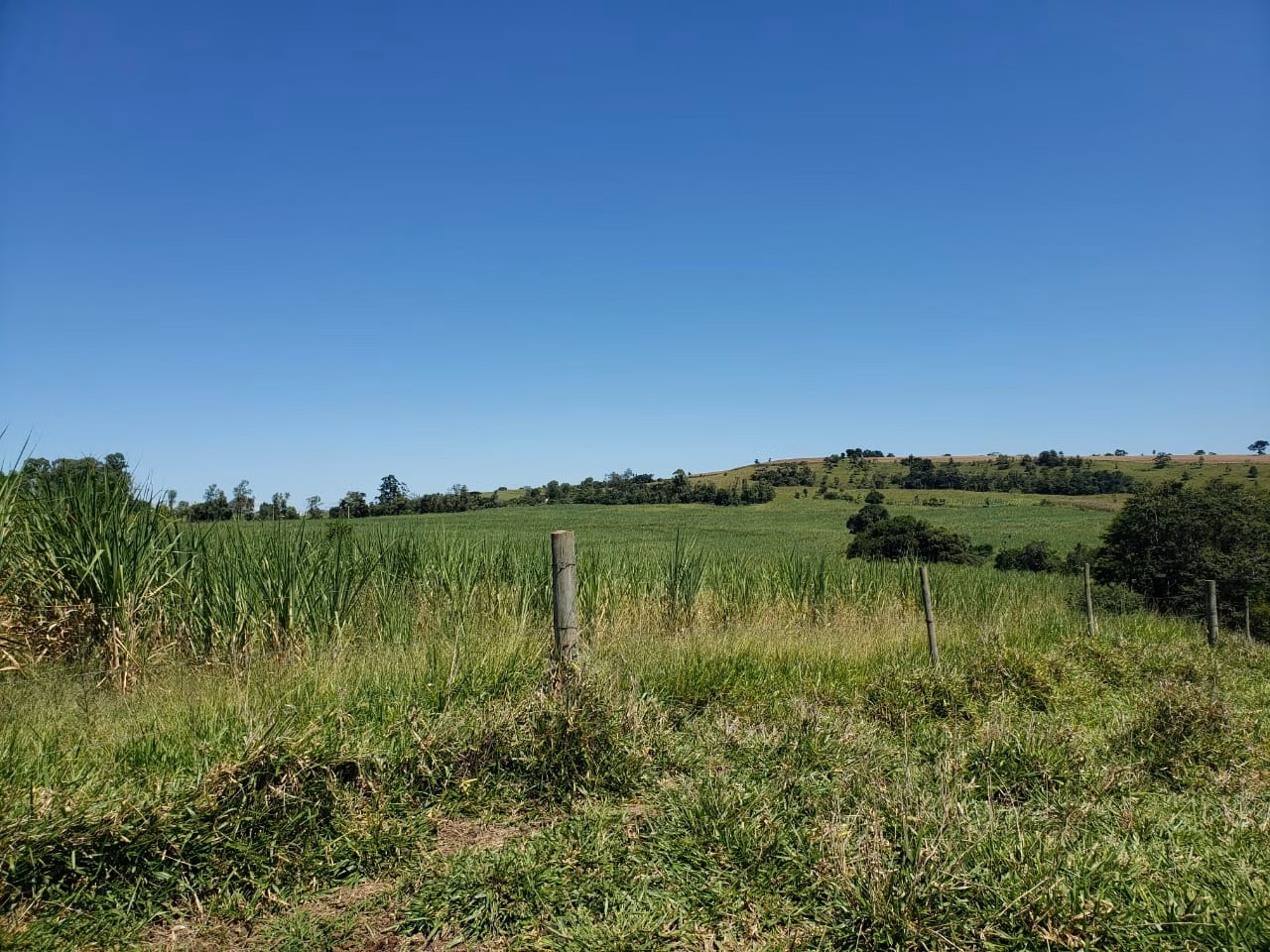 Small farm of 138 acres in Tatuí, SP, Brazil