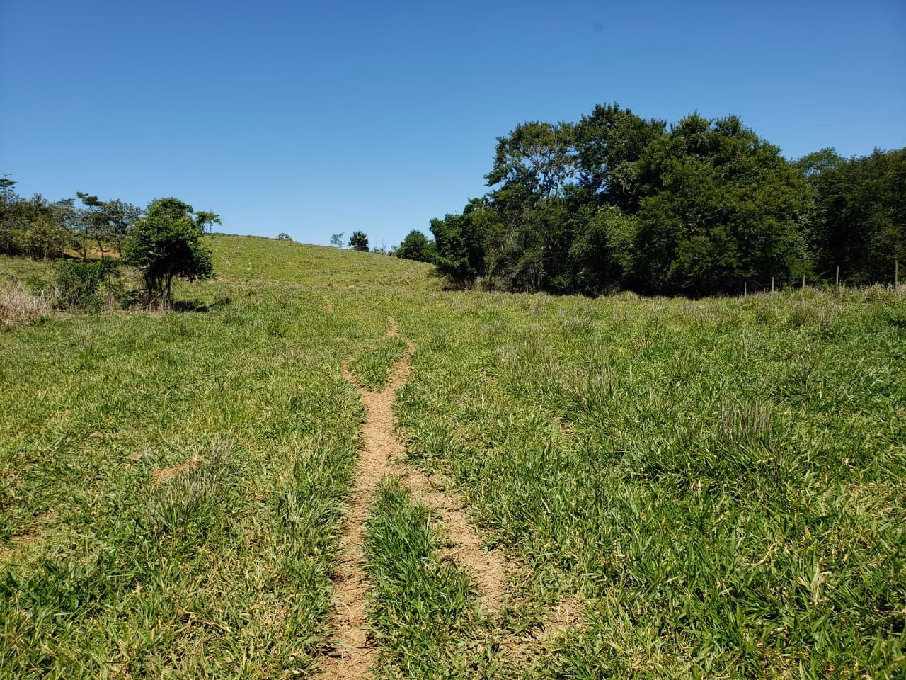 Small farm of 138 acres in Tatuí, SP, Brazil