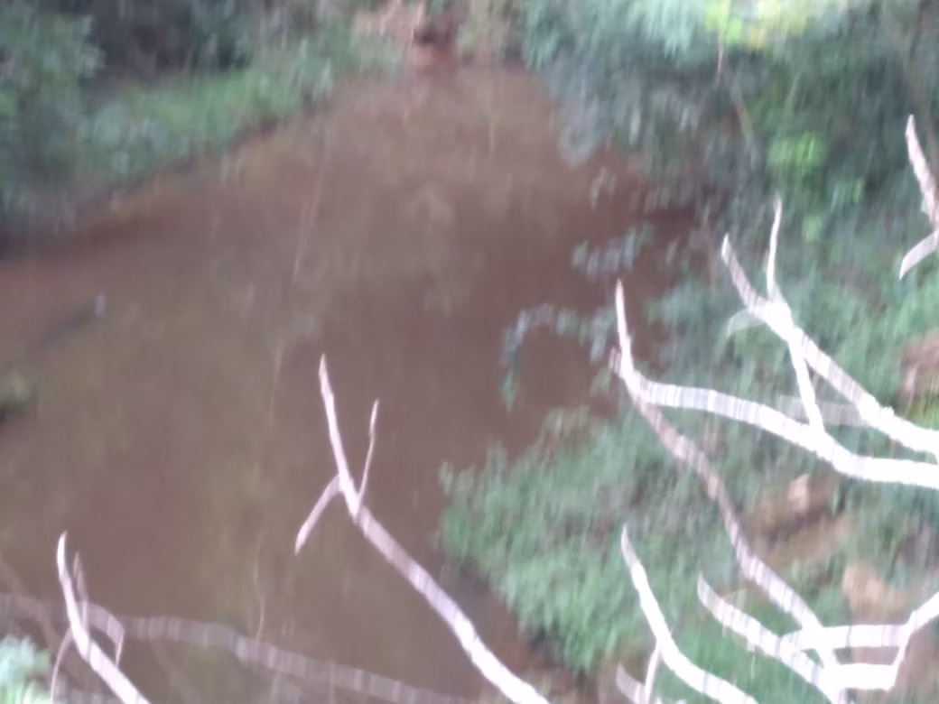 Fazenda de 1.965 ha em Itapetininga, SP