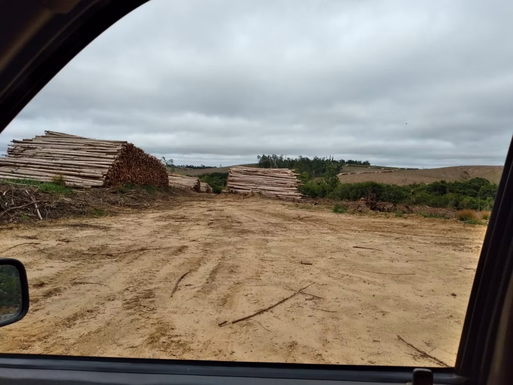 Fazenda de 1.965 ha em Itapetininga, SP