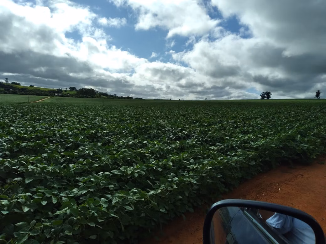 Fazenda de 1.965 ha em Itapetininga, SP