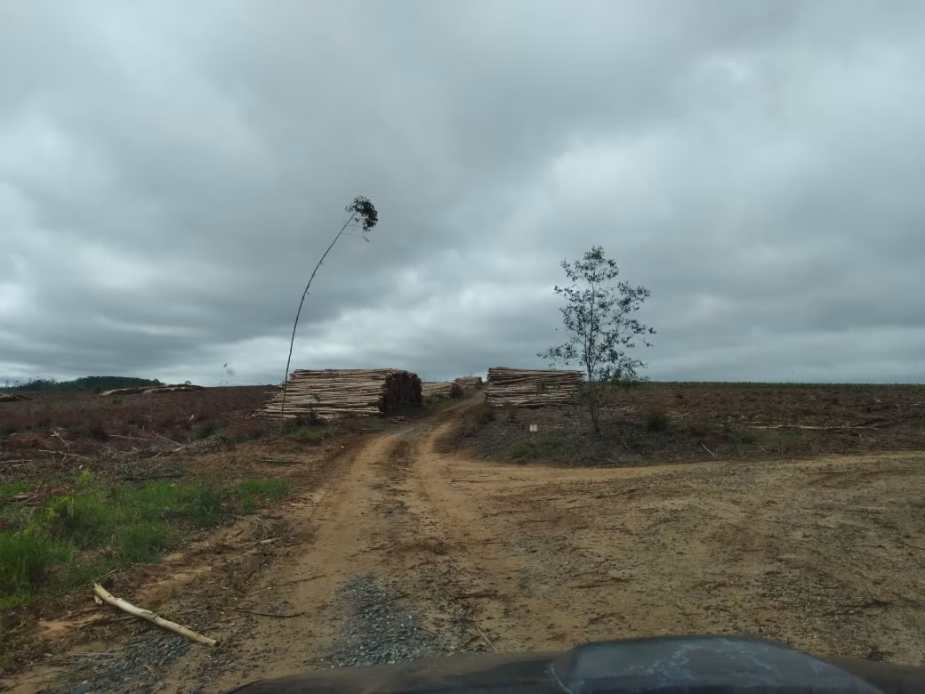 Fazenda de 1.965 ha em Itapetininga, SP