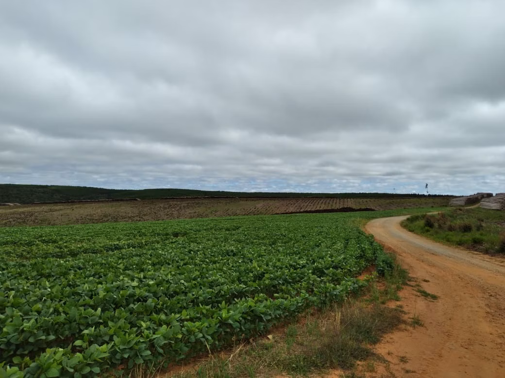 Fazenda de 1.965 ha em Itapetininga, SP