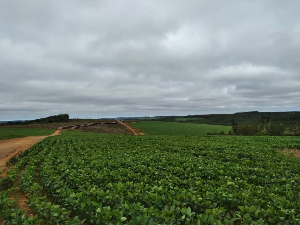 Fazenda de 1.965 ha em Itapetininga, SP