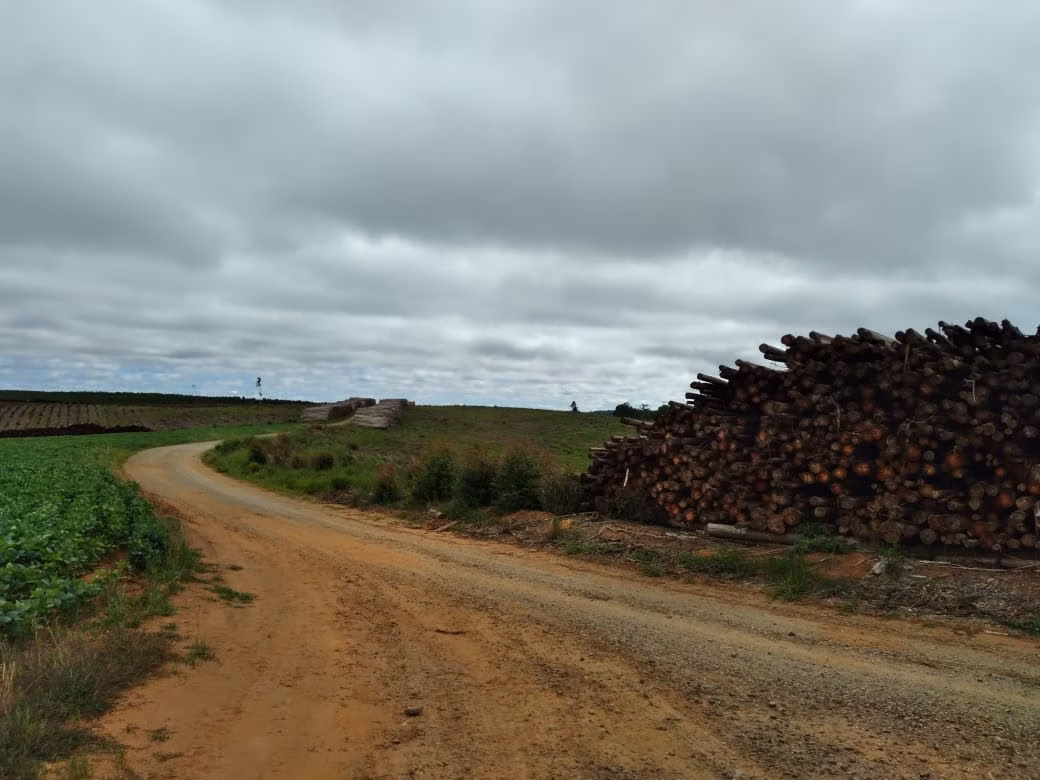 Fazenda de 1.965 ha em Itapetininga, SP