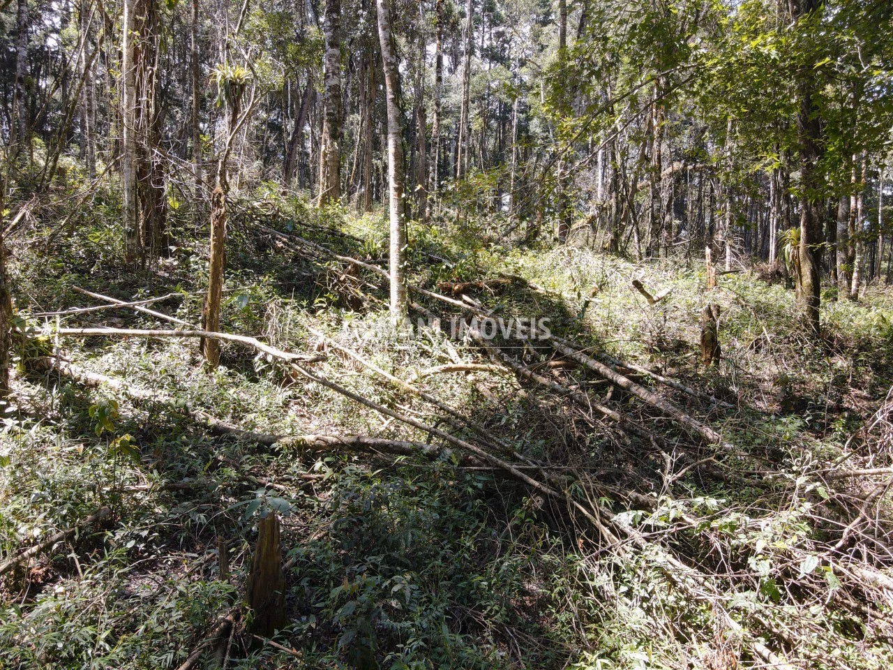 Plot of 2.270 m² in Campos do Jordão, SP, Brazil