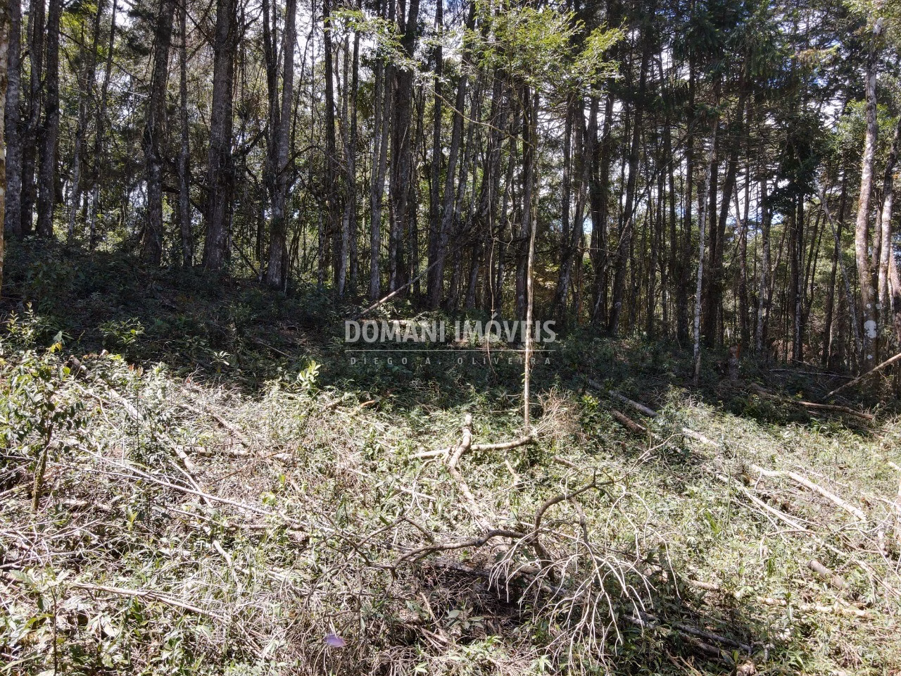 Plot of 2.270 m² in Campos do Jordão, SP, Brazil