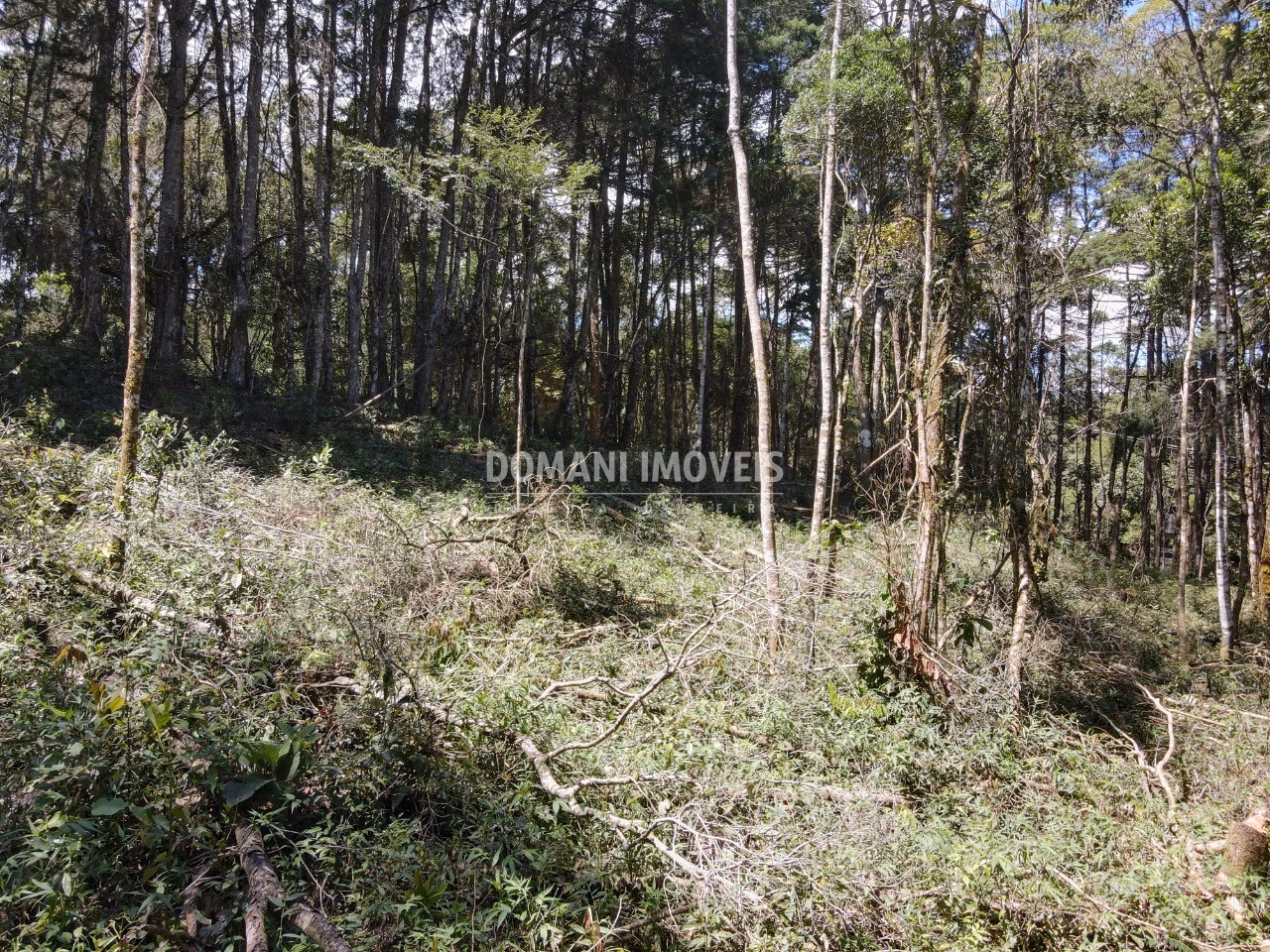 Plot of 2.270 m² in Campos do Jordão, SP, Brazil