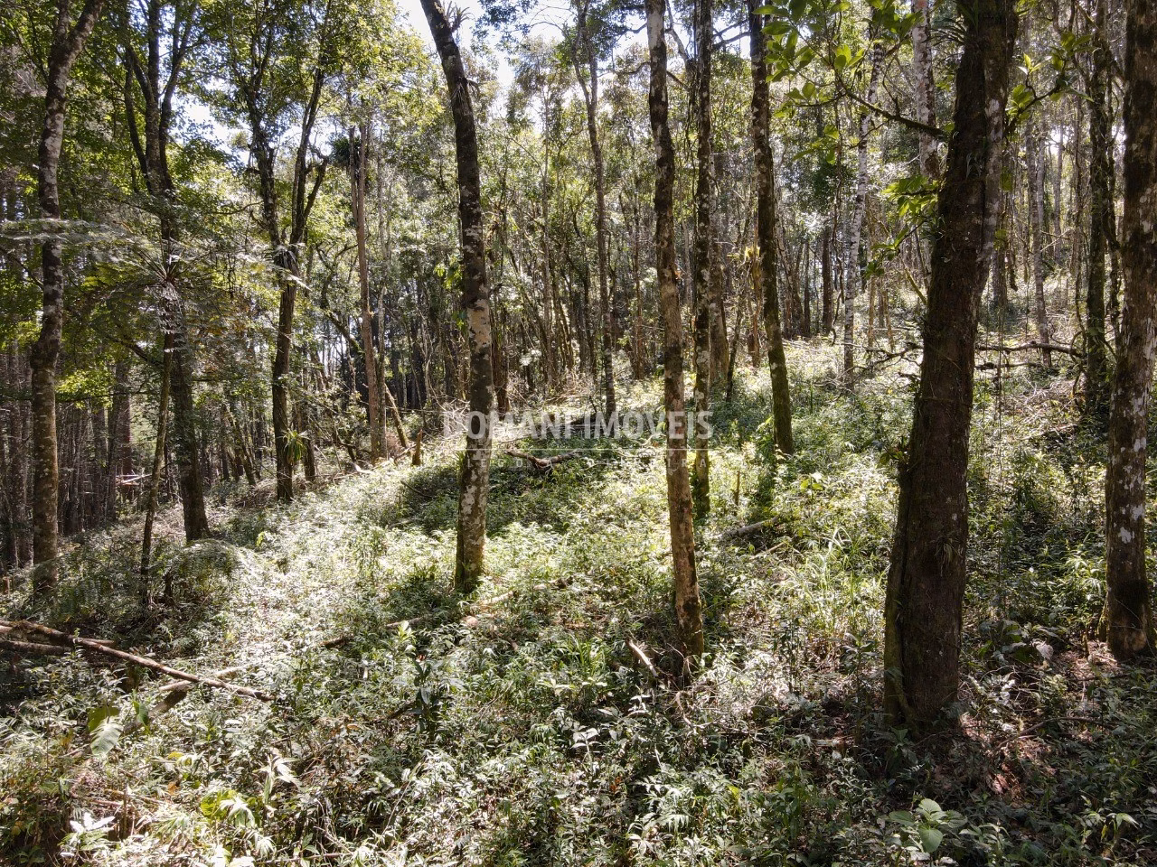 Plot of 2.270 m² in Campos do Jordão, SP, Brazil