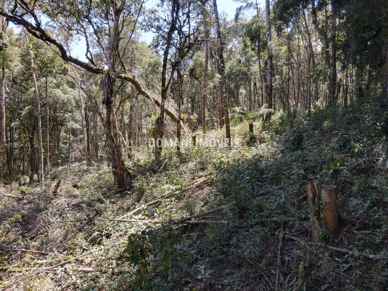 Plot of 2.270 m² in Campos do Jordão, SP, Brazil