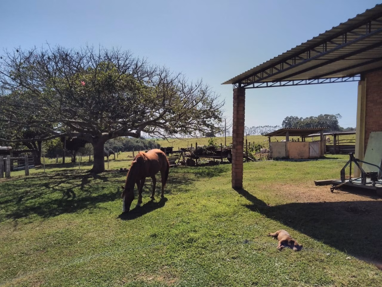 Fazenda de 114 ha em Paranapanema, SP