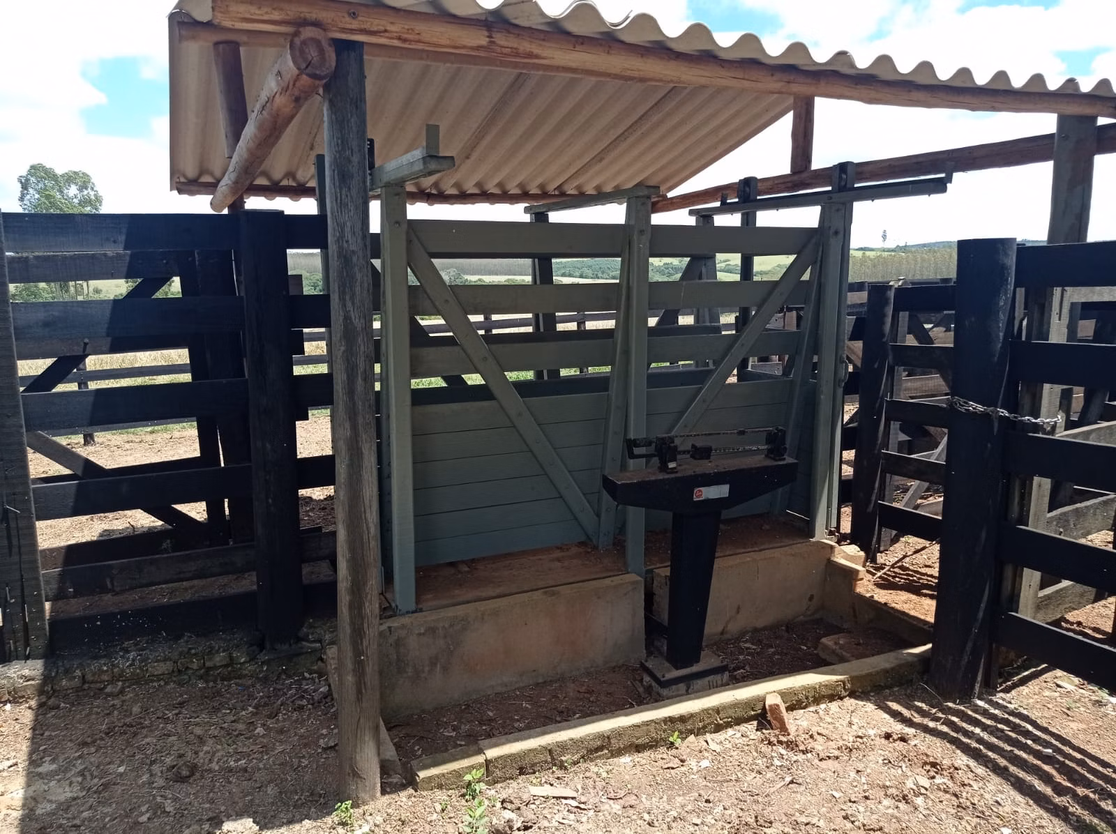 Fazenda de 114 ha em Paranapanema, SP