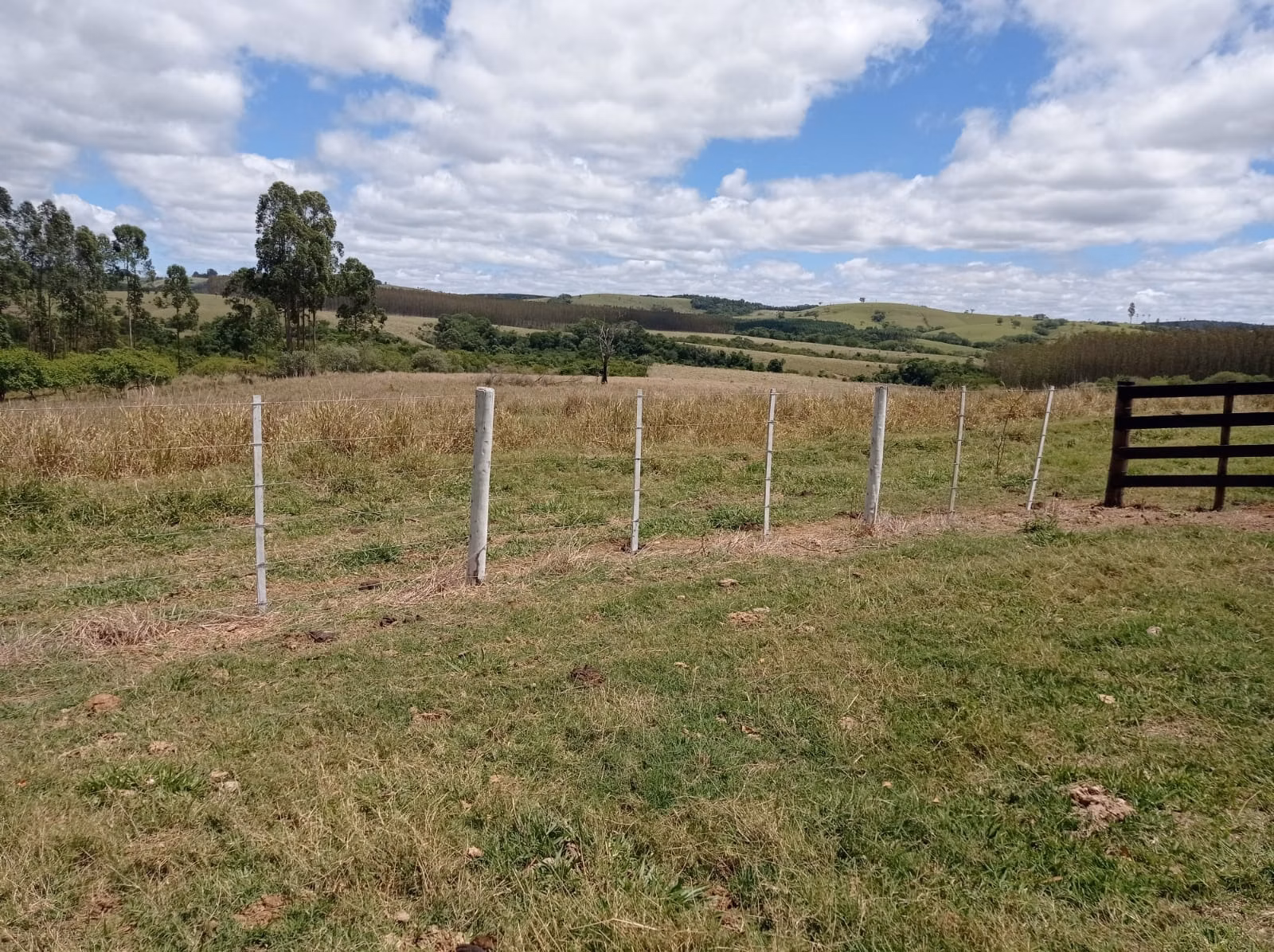 Fazenda de 114 ha em Paranapanema, SP