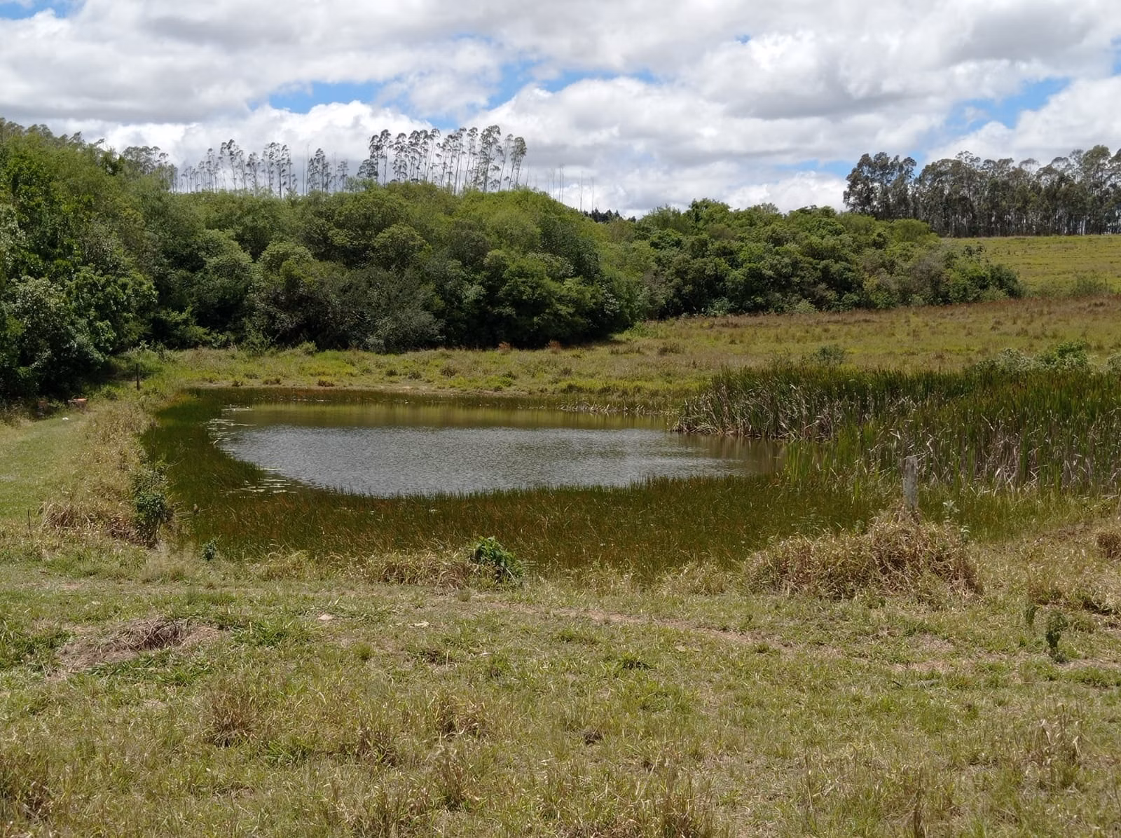 Fazenda de 114 ha em Paranapanema, SP
