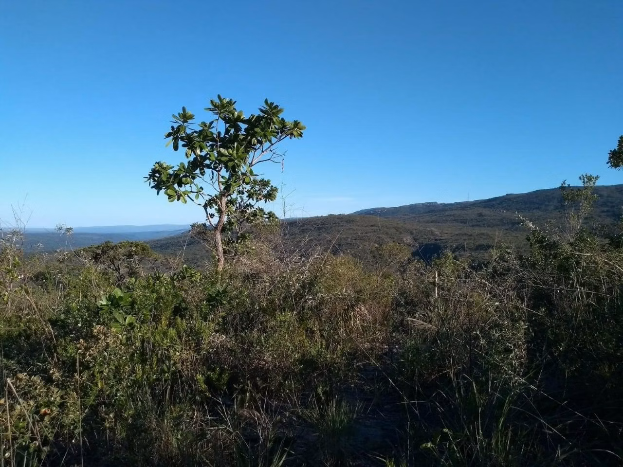 Plot of 1,000 m² in Lençóis, BA, Brazil