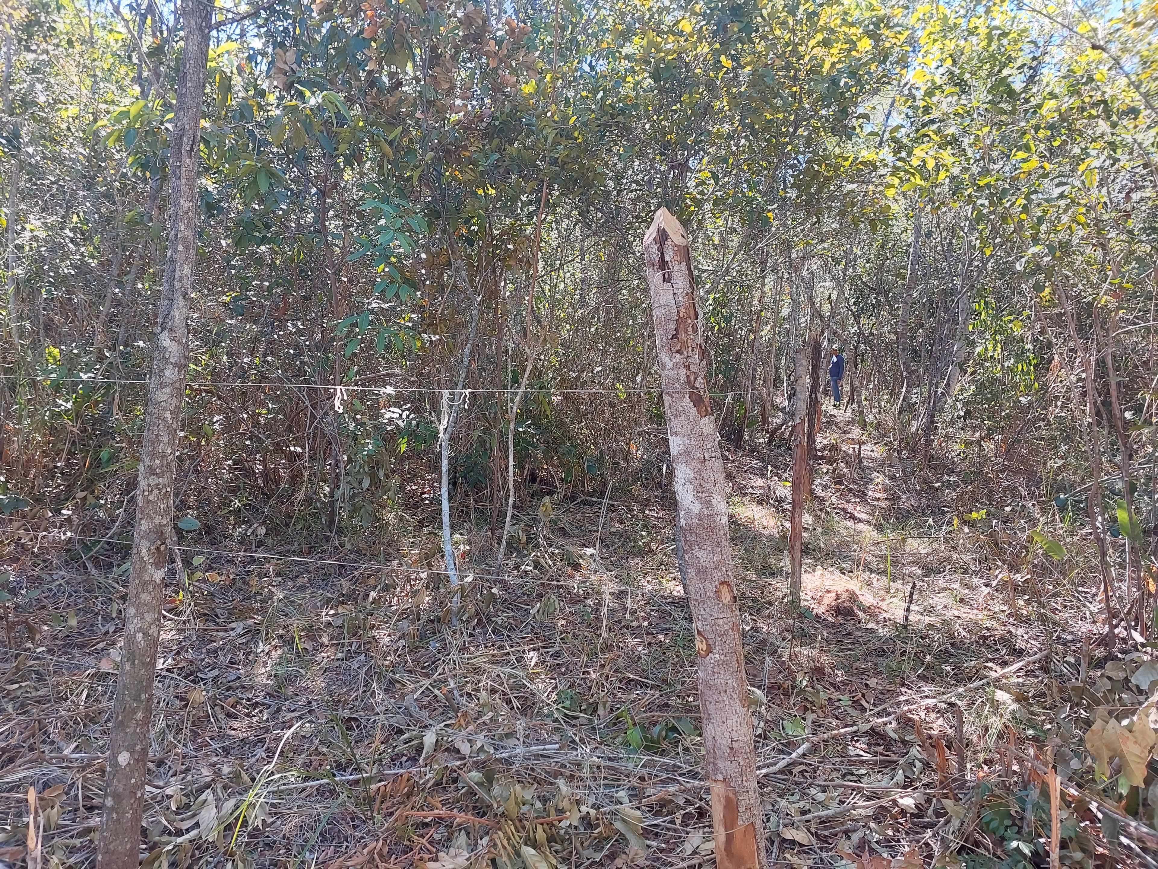 Plot of 1,000 m² in Lençóis, BA, Brazil