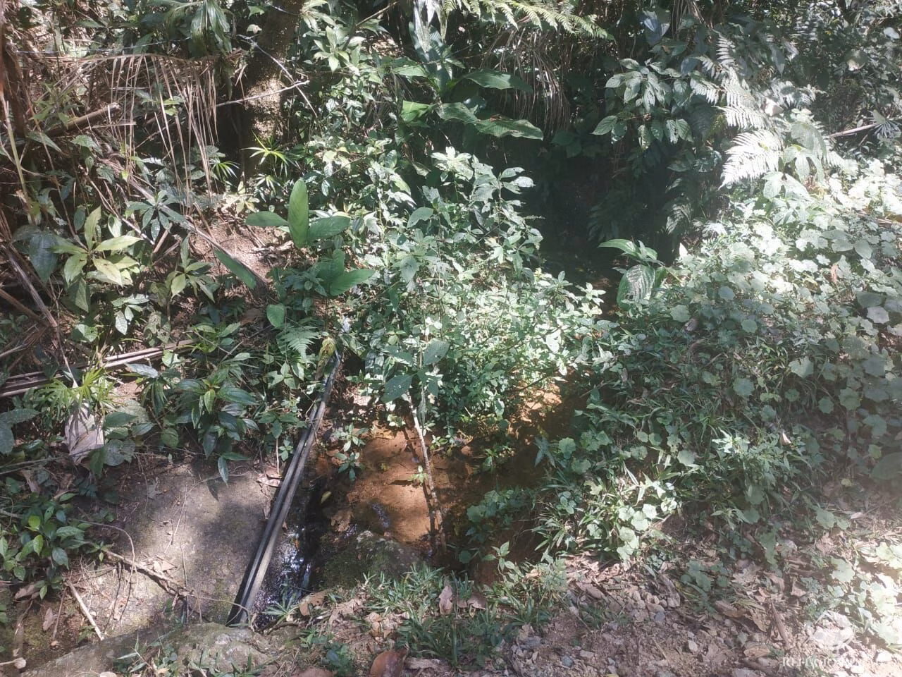 Sítio de 4 ha em São José dos Campos, SP