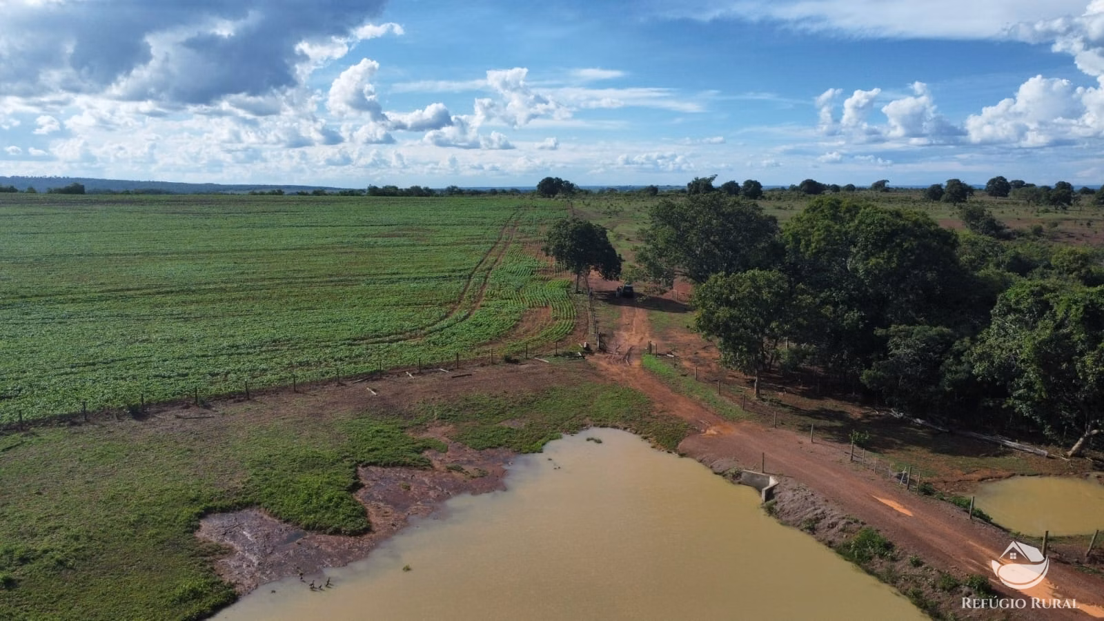Fazenda de 2.300 ha em Pedro Gomes, MS