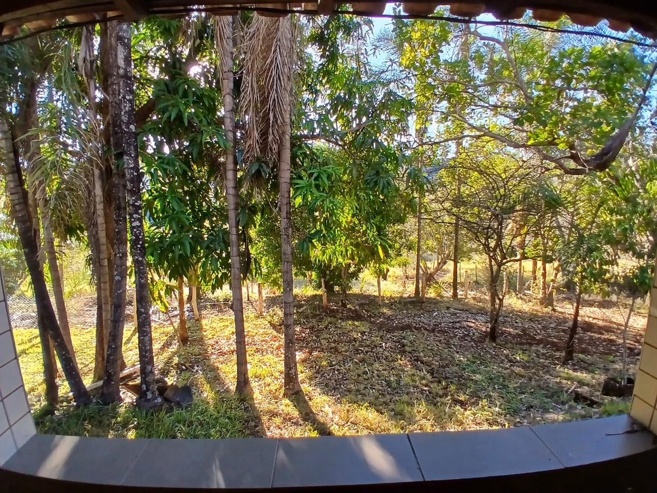 Small farm of 37 acres in Uberlândia, MG, Brazil