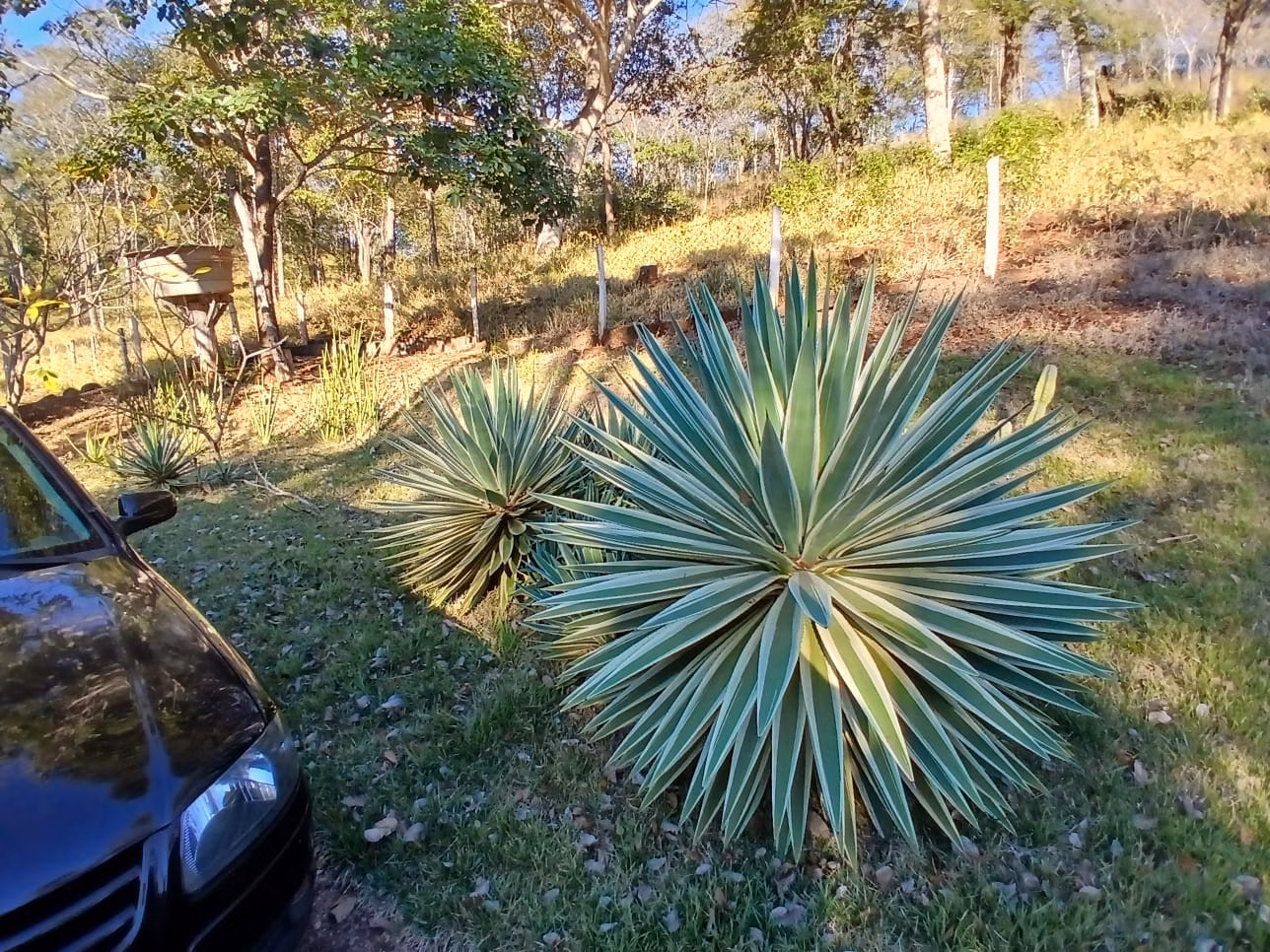 Small farm of 37 acres in Uberlândia, MG, Brazil