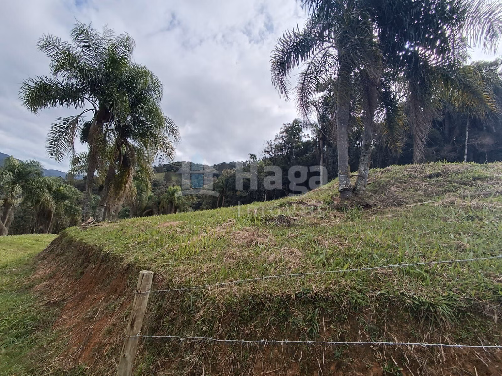 Fazenda de 2 ha em Angelina, SC