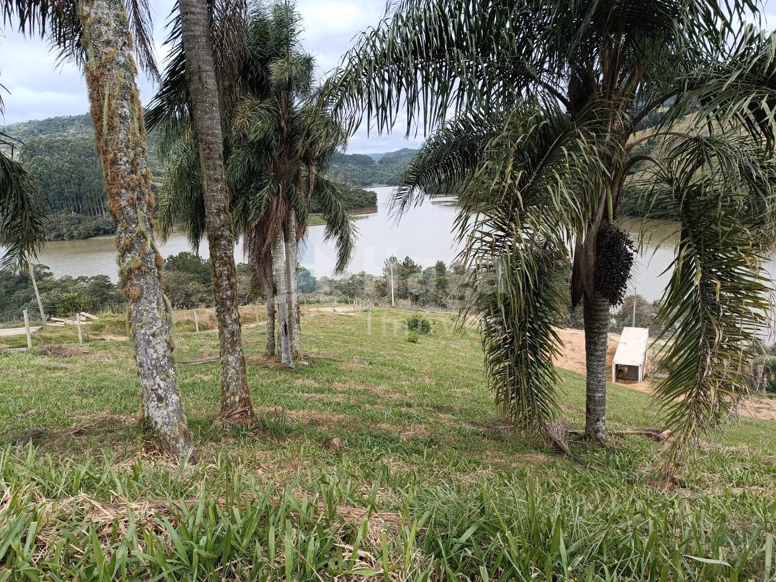 Fazenda de 2 ha em Angelina, SC