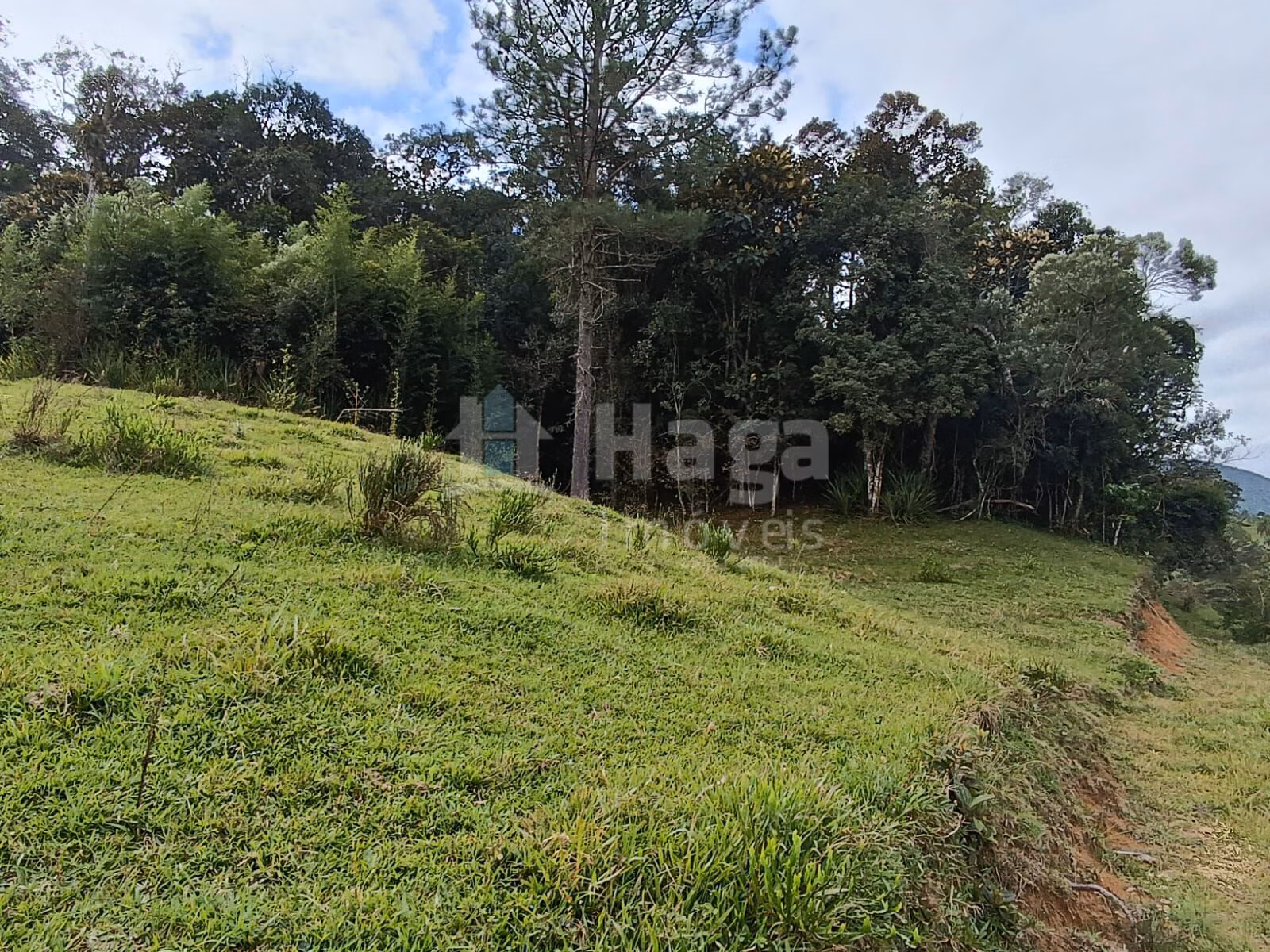 Fazenda de 2 ha em Angelina, SC