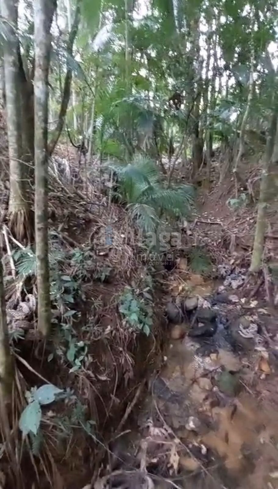 Plot of 3,410 m² in Águas Mornas, SC, Brazil