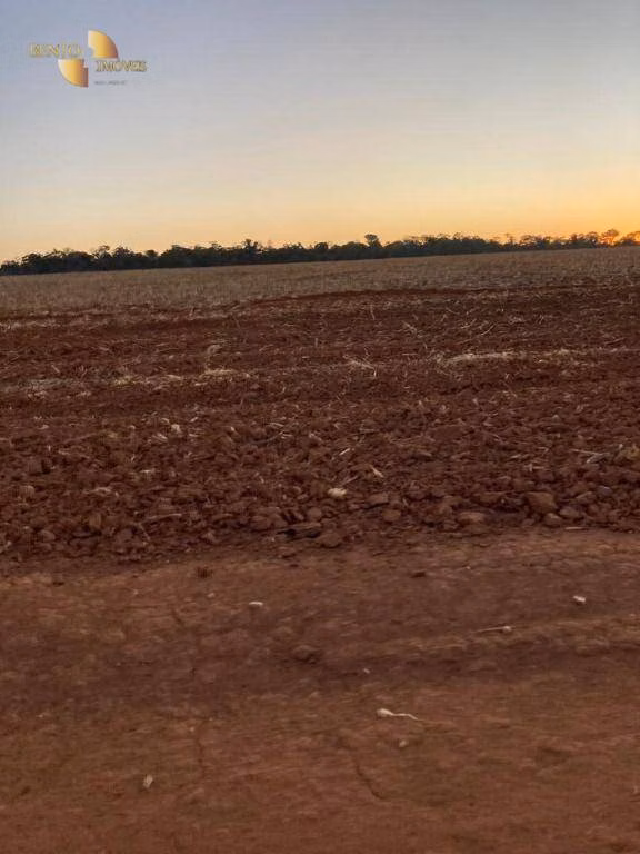 Farm of 4,660 acres in Juína, MT, Brazil