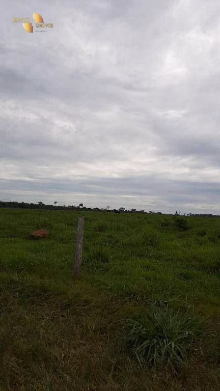Farm of 4,660 acres in Juína, MT, Brazil